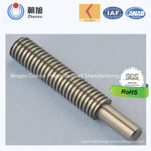 China Supplier Customized Non-Standard Dual Diameter Shaft